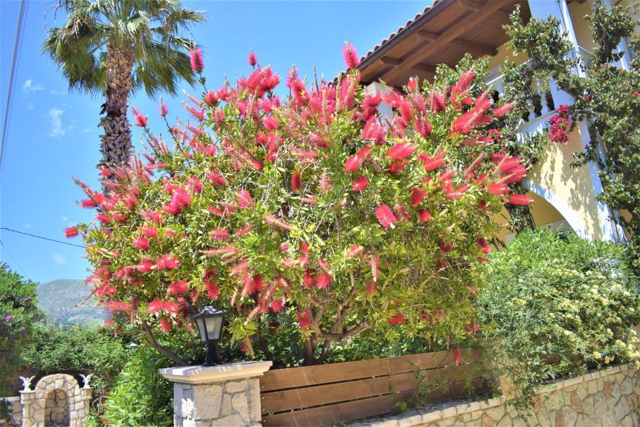 Villa Dionysios Keri ภายนอก รูปภาพ