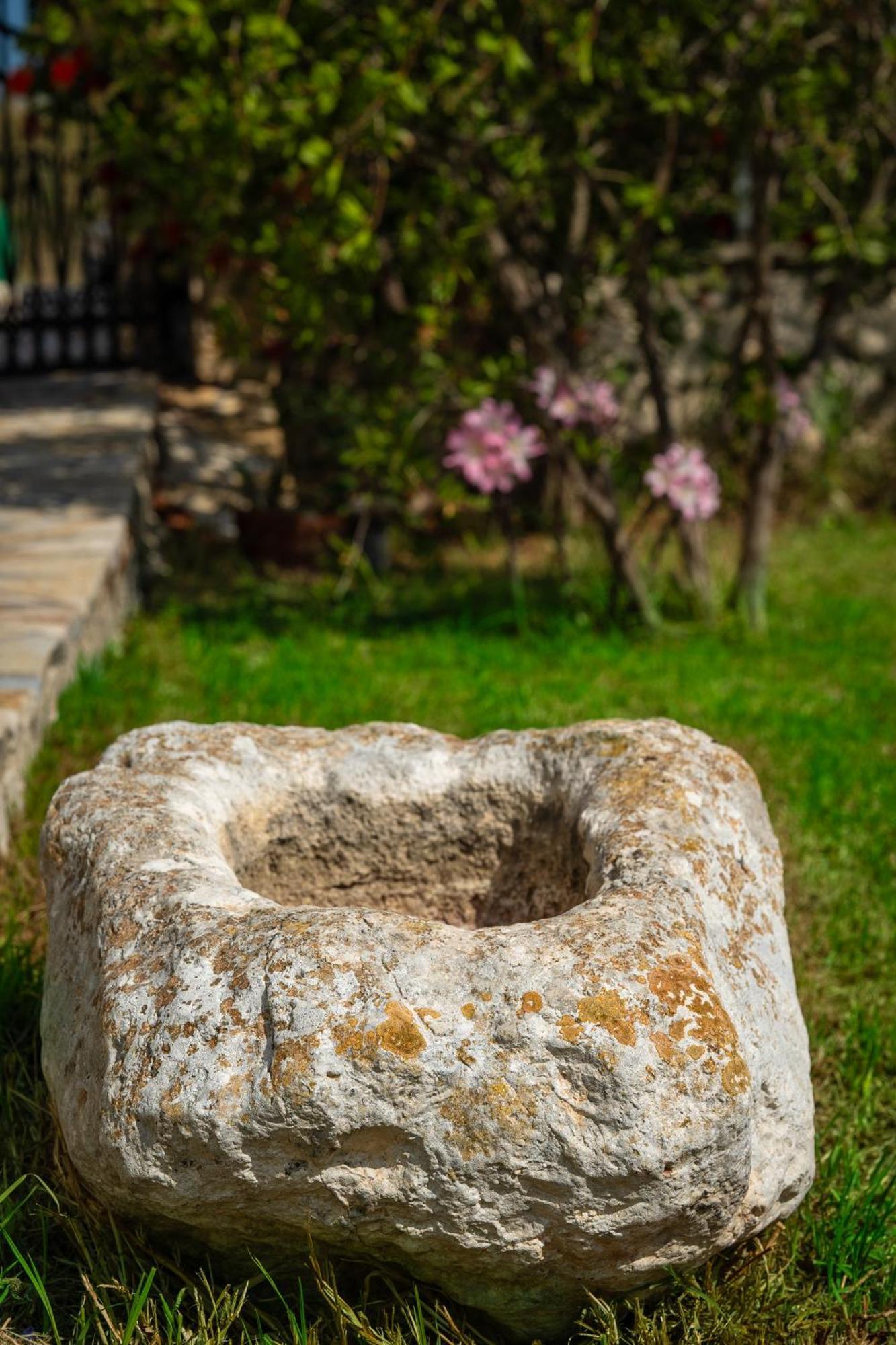 Villa Dionysios Keri ภายนอก รูปภาพ