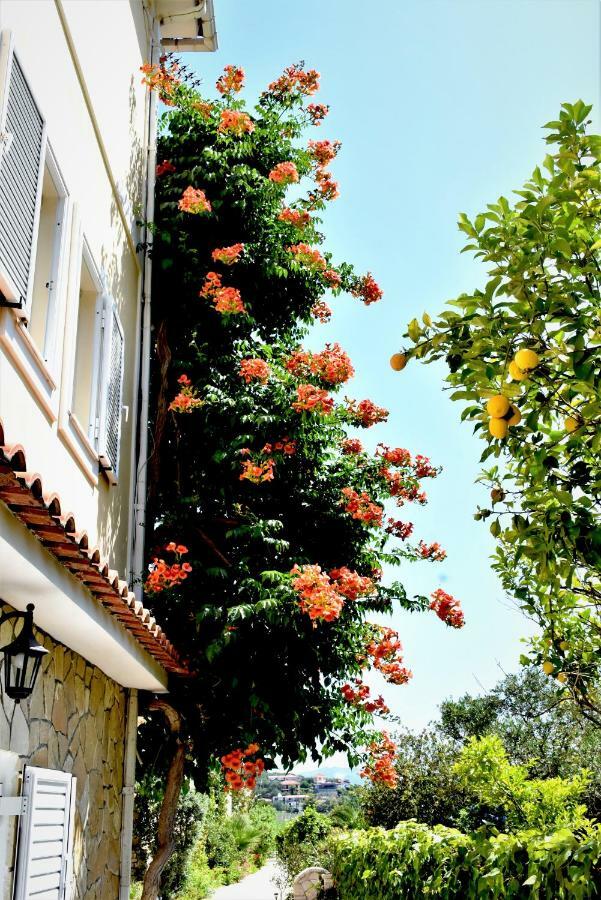 Villa Dionysios Keri ภายนอก รูปภาพ